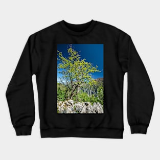 Limestone mountains Crewneck Sweatshirt